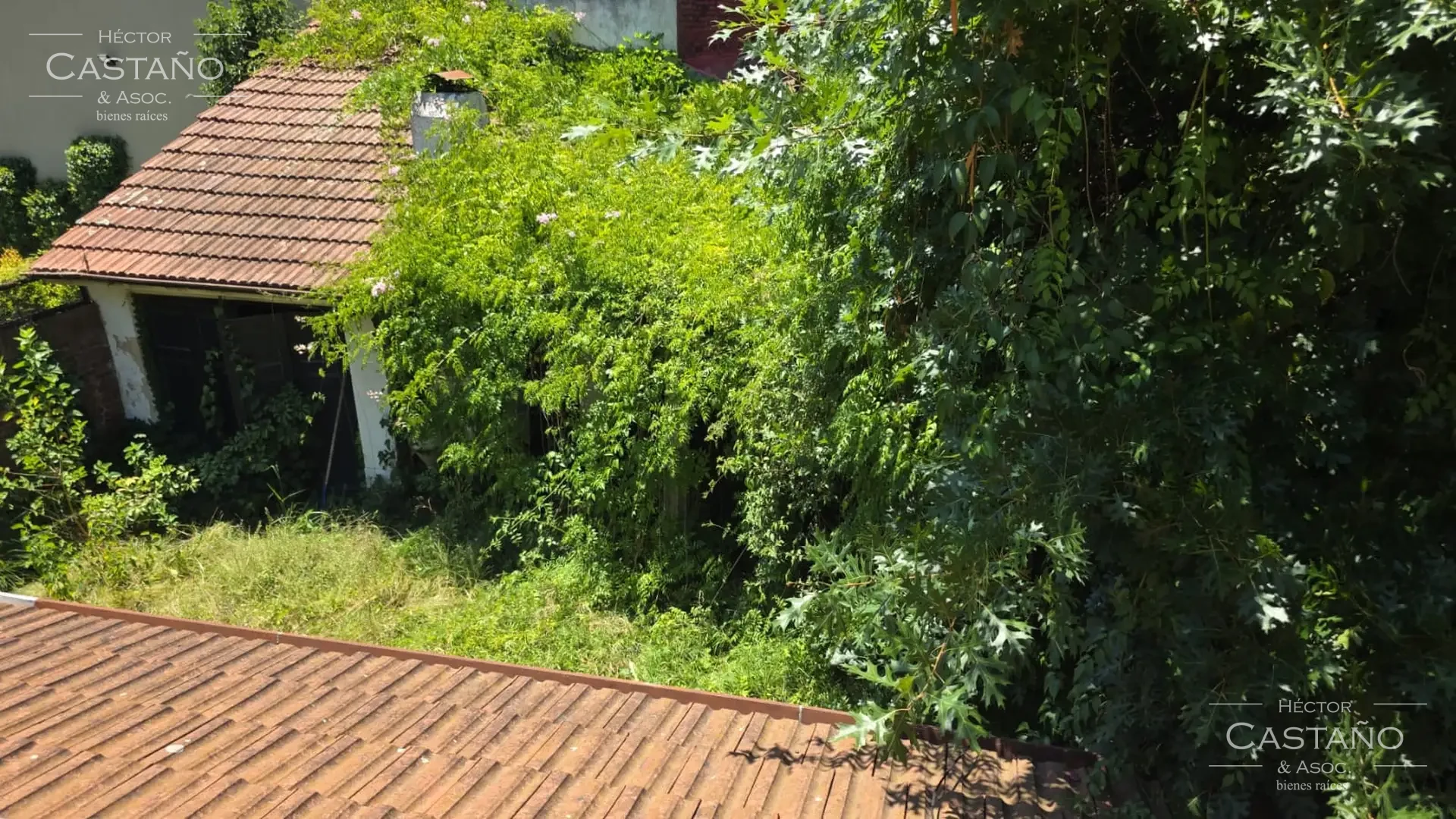 Clásica casa neocolonial con jardín, quincho y cochera en Florida Mitre