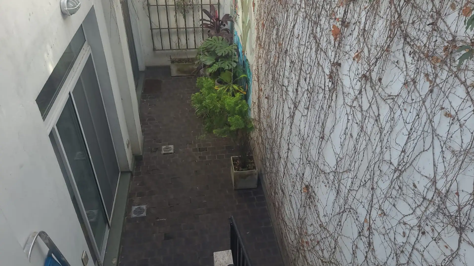 Foto importada